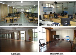 市場營銷策劃精品課程網站 賦能新時代營銷人才的數字平臺